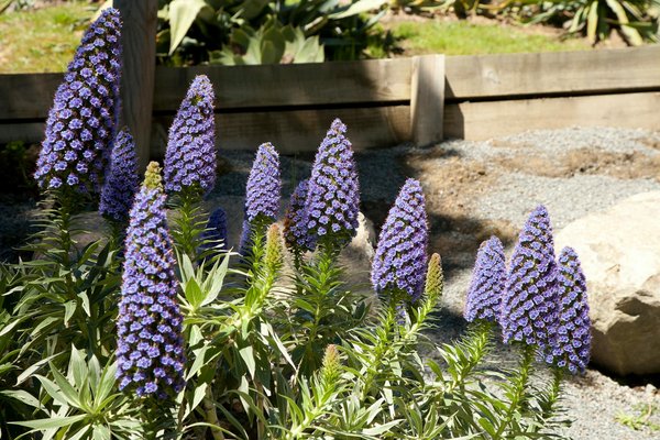 Serrurier lyon 9 : services de serrurerie adaptés à vos besoins