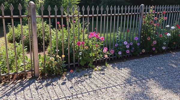 Top 5 raisons d'adopter une clôture rigide pour votre jardin